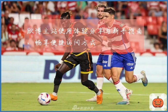 欧博主站使用体验分享与新手指南,畅享便捷访问方式