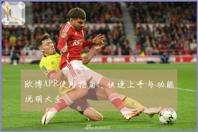 欧博APP使用指南：快速上手与功能说明大全