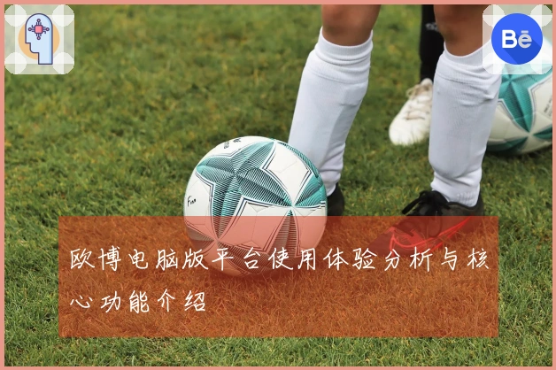 欧博电脑版平台使用体验分析与核心功能介绍