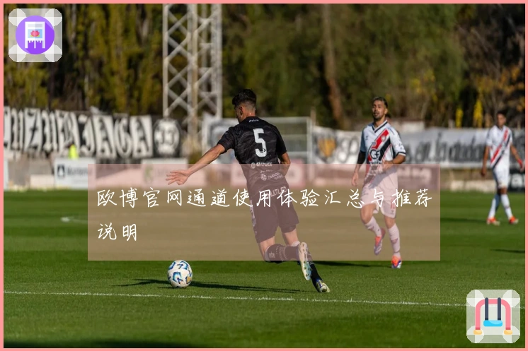 欧博官网通道使用体验汇总与推荐说明